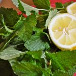 Seminte de plante aromatice Lemon Balm - Roinita