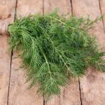 Seminte de plante aromatice Dill - Marar