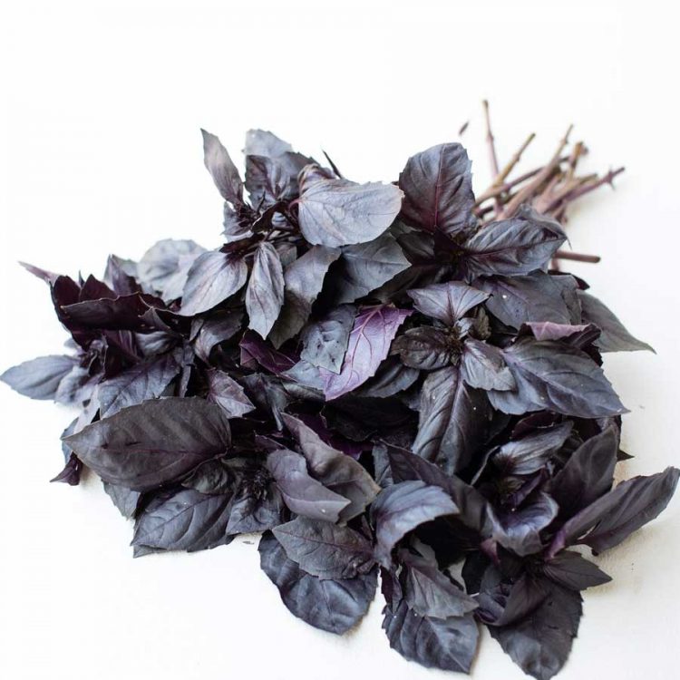 Seminte de plante aromatice Basil Dark Opal - Busuioc Rosu