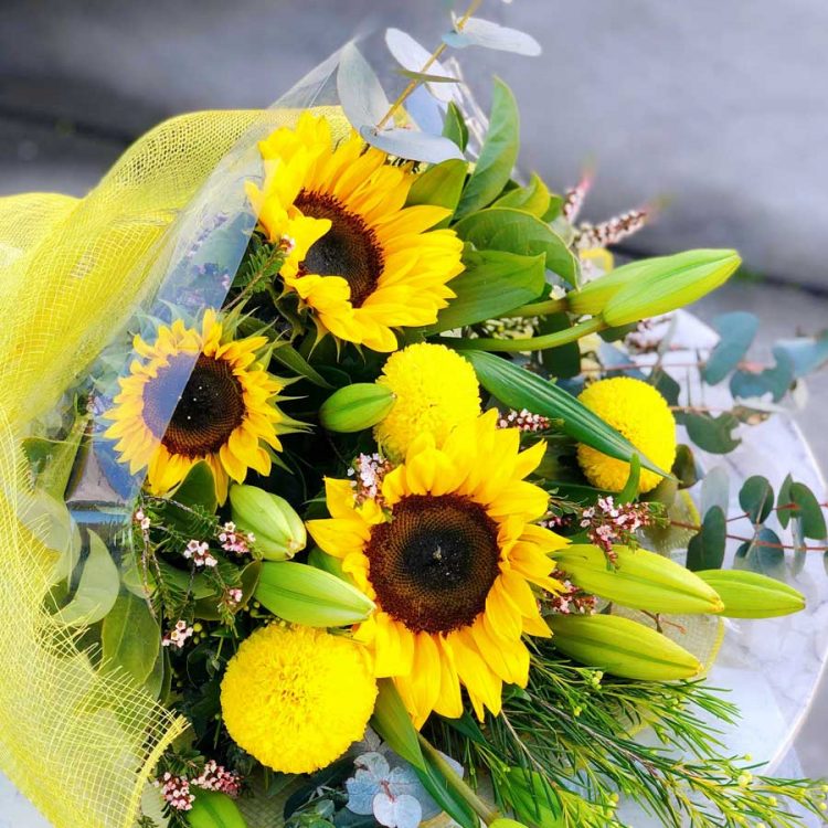 Seminte de flori Sunflower Dwarf Bambino