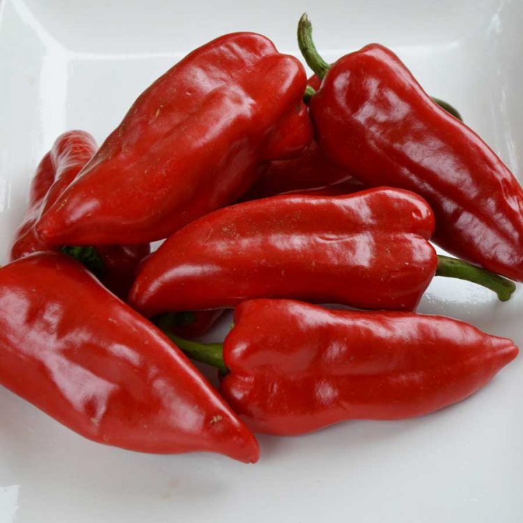Seminte de Ardei Capia Sweet Pepper Piquillo