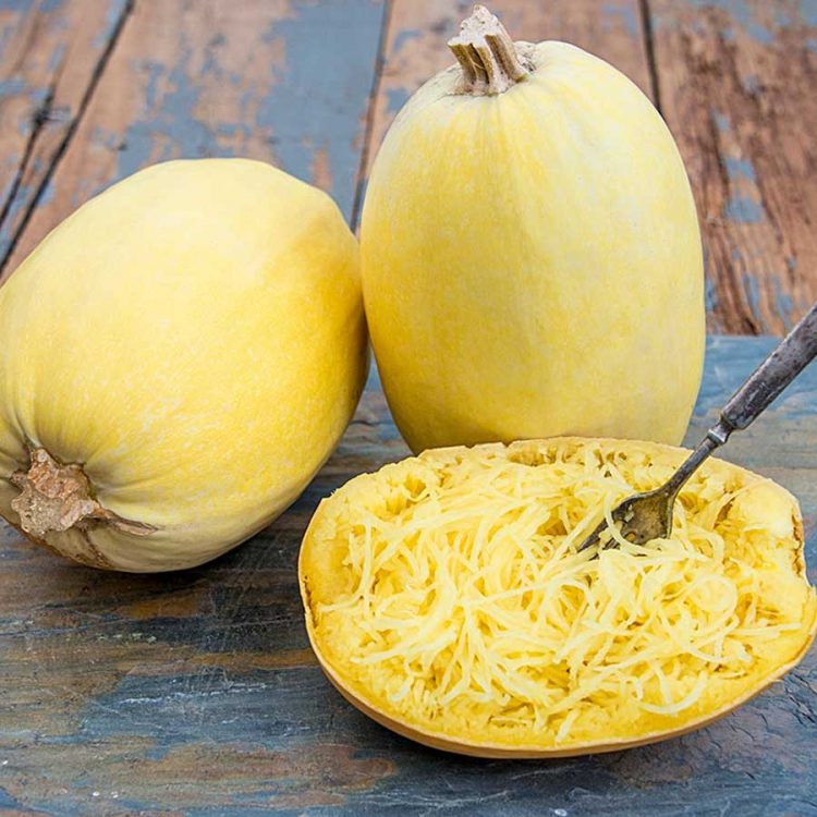seminte de dovleac spaghetti Winter Squash Spaghetti