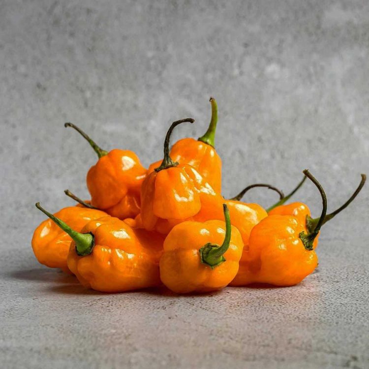 Seminte de legume Pepper Habanero Orange