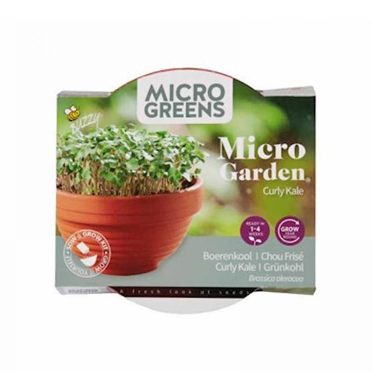 Seminte pentru microgreens Borecole Curly Kale cu ghiveci ceramic