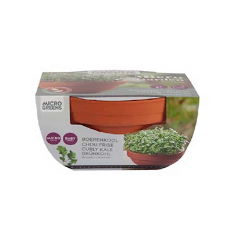 Seminte pentru microgreens Borecole Curly Kale cu ghiveci ceramic