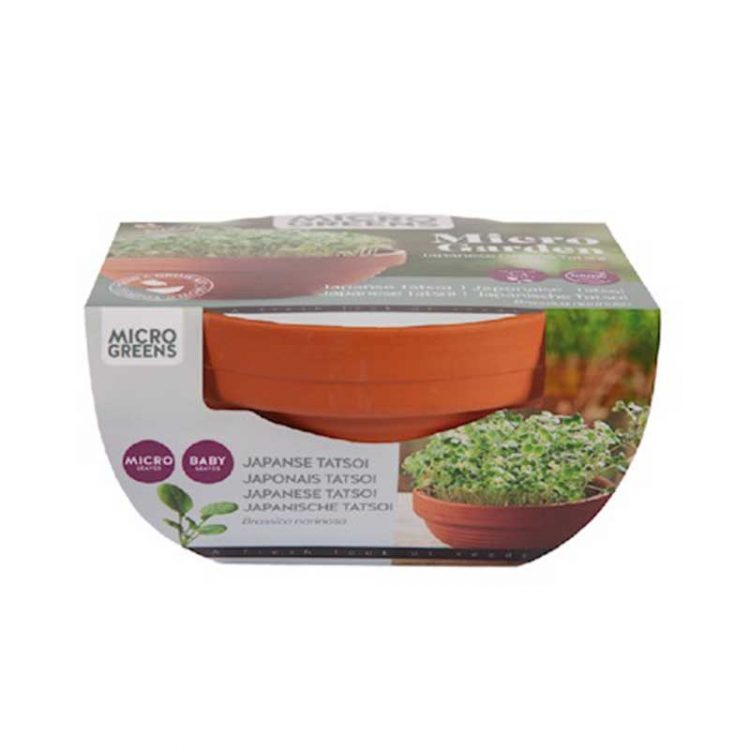 Seminte pentru microgreens Japanese Tatsoi cu ghiveci ceramic