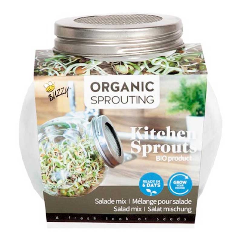 Seminte pentru germinat Salad Mix cu borcan pentru germinat