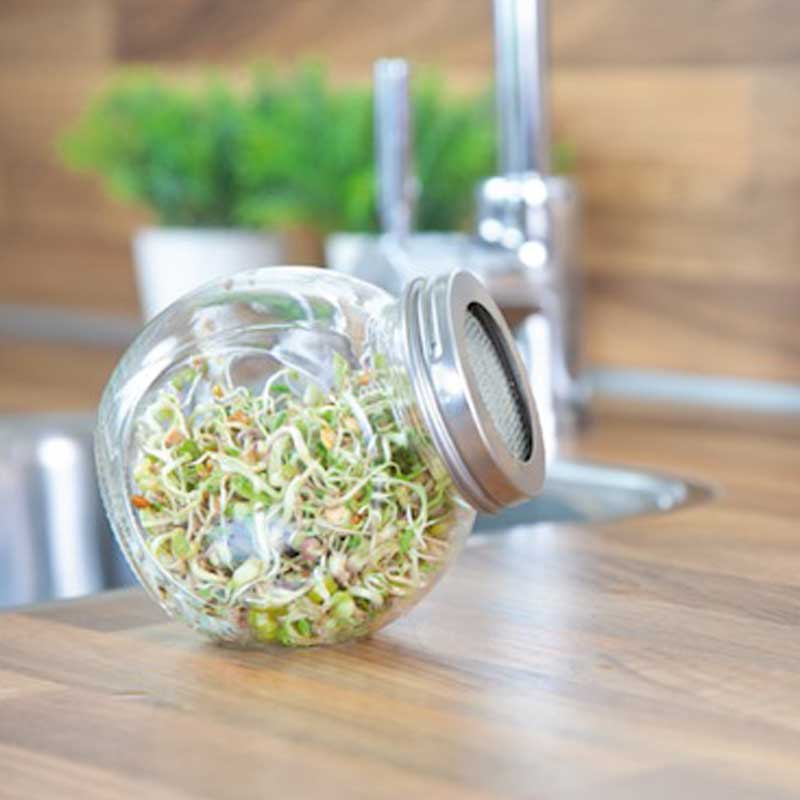Seminte pentru germinat Salad Mix cu borcan pentru germinat