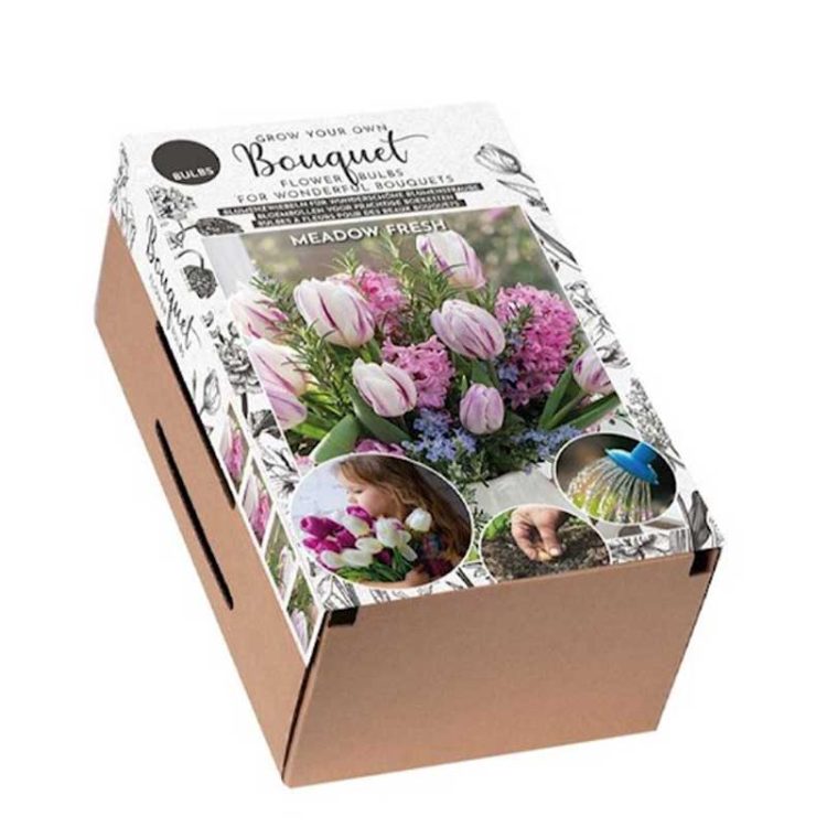 Pachet bulbi Meadow Fresh 38 bucati