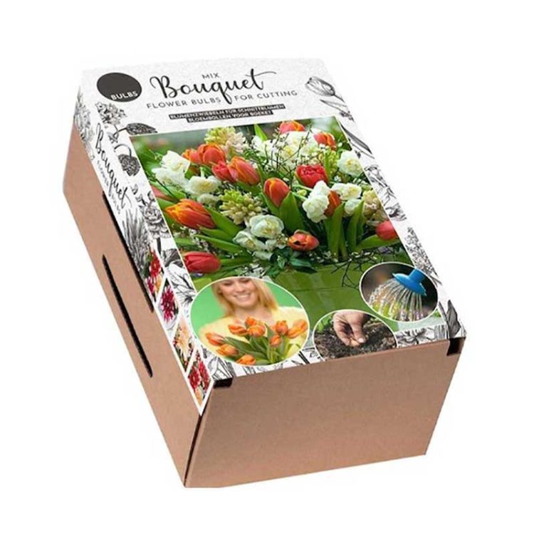 Pachet bulbi Valentine 38 bucati