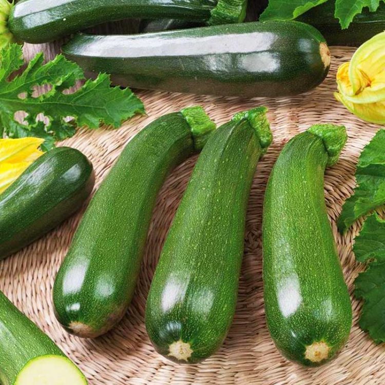 Seminte de legume Summer Squash Diamant F1