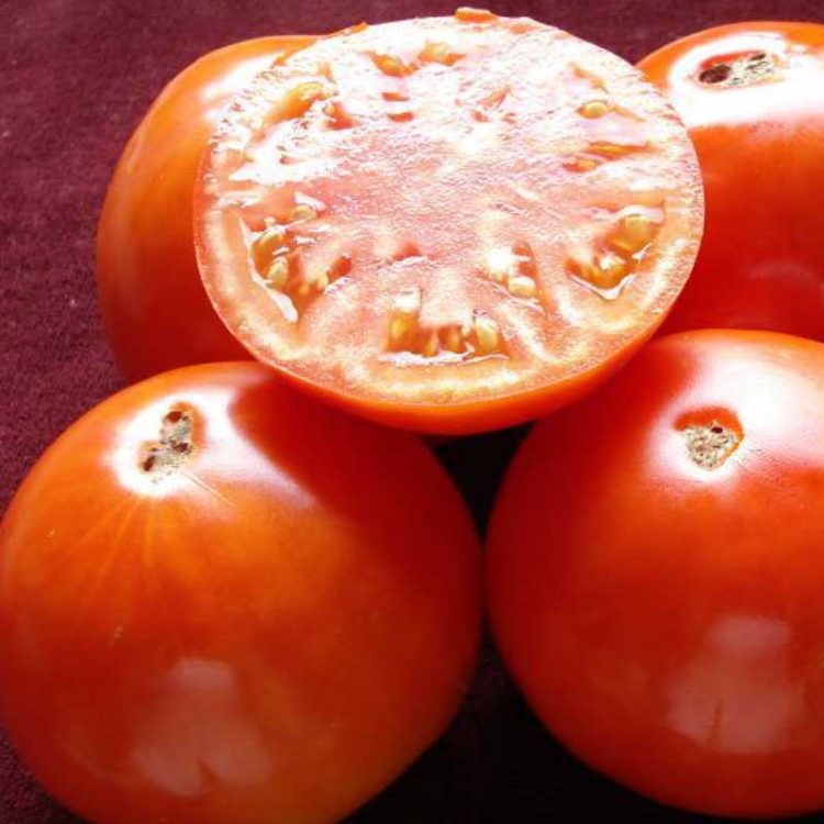 Seminte de legume Tomate Buzau 22