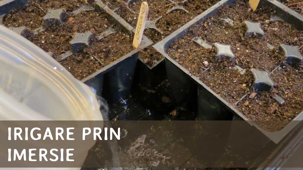 irigare prin imersie