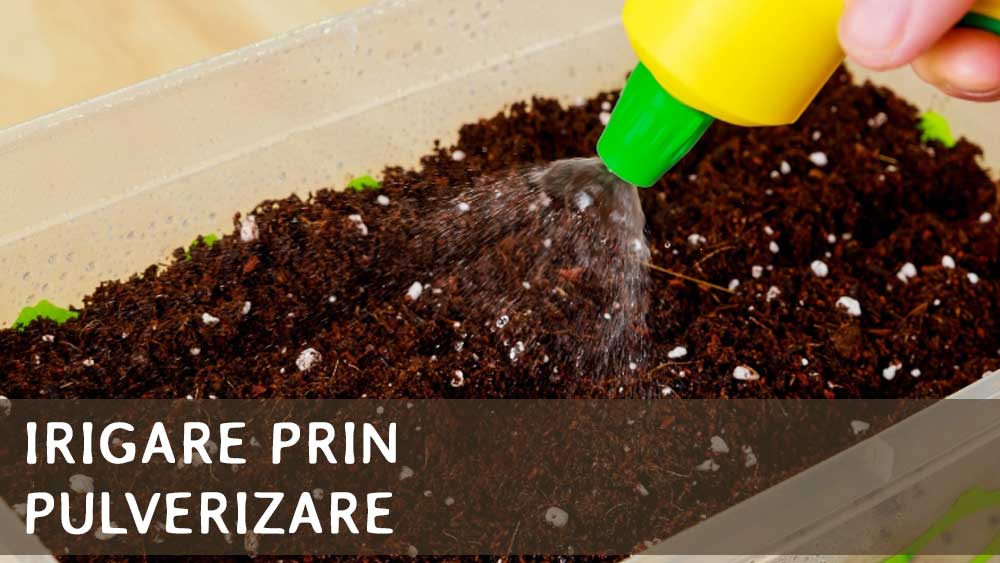 irigarea prin pulverizare
