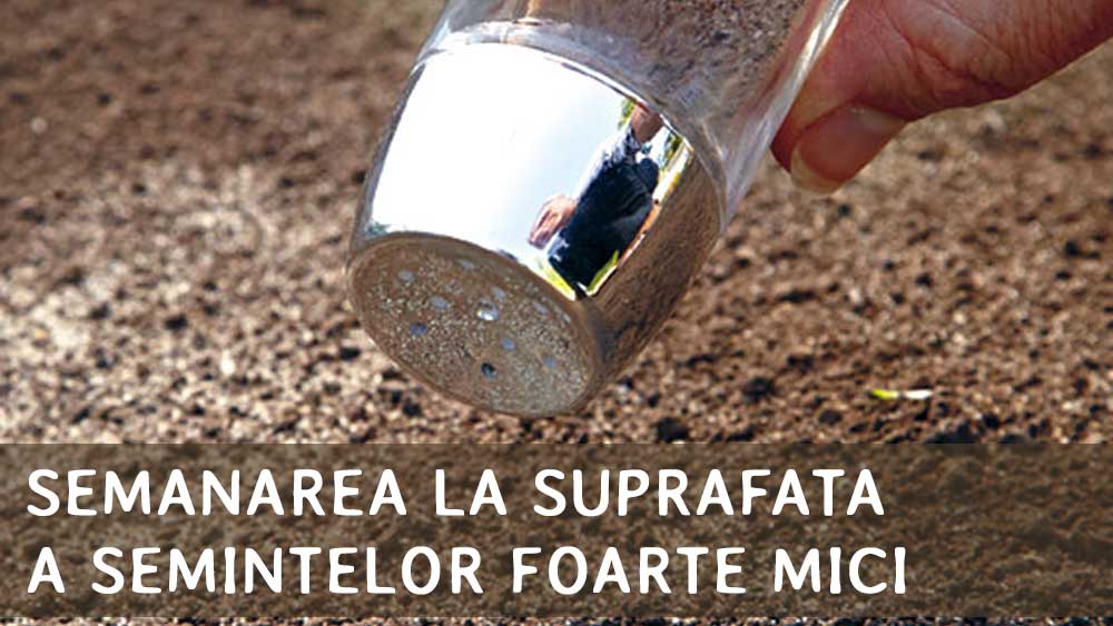 semanarea la suprafata a semintelor foarte mici
