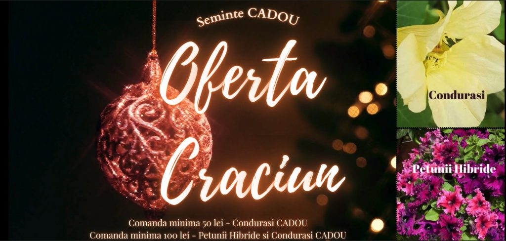 Seminte de flori cadou