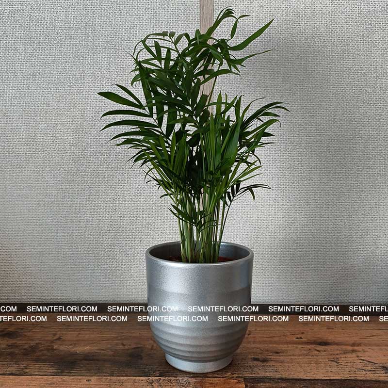 Ghiveci decorativ Ares Glaze Silver