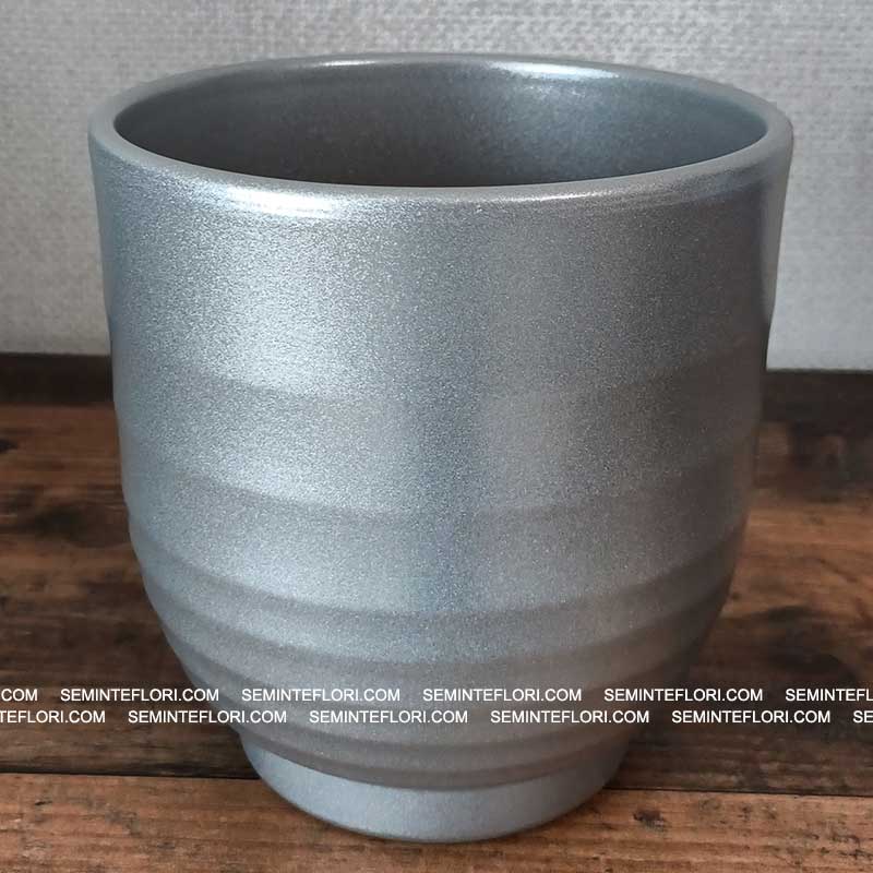 Ghiveci decorativ Ares Glaze Silver
