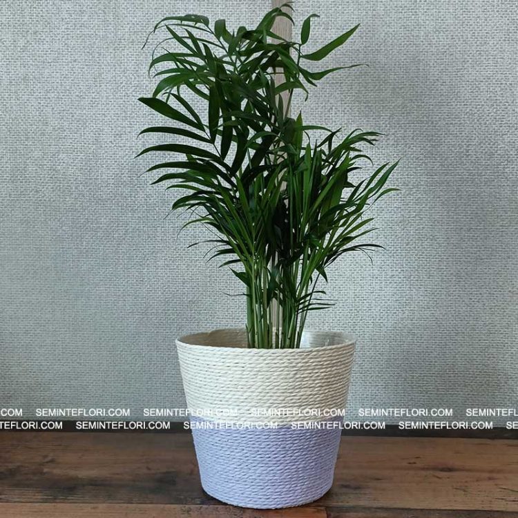 Ghiveci decorativ tip cos Riley1 Duo Lavender