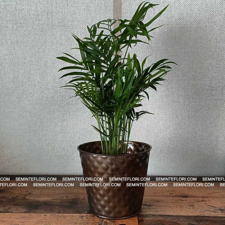 Ghiveci decorativ Melody Metallic Copper