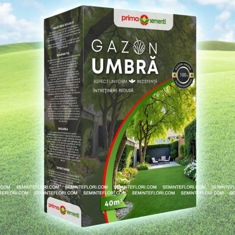 Seminte de Gazon Umbra