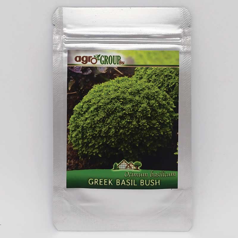 plic seminte flori greek basil bush