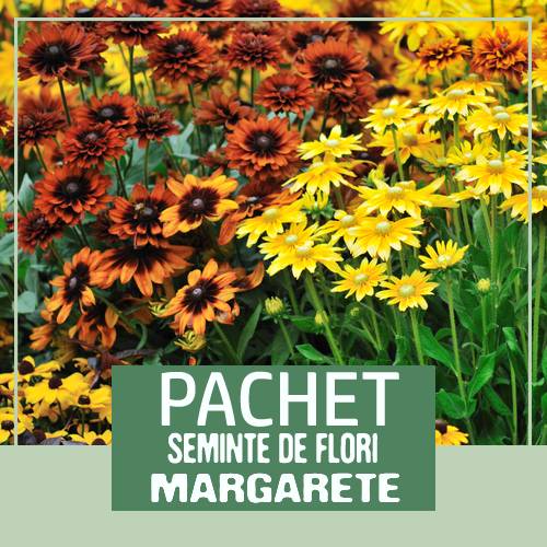 pachet seminte flori la reducere