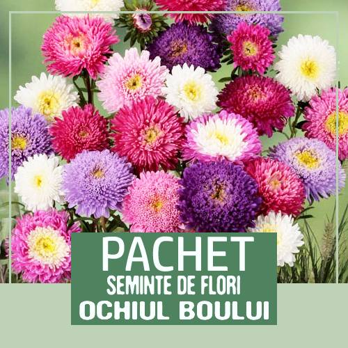 pachet seminte flori la reducere