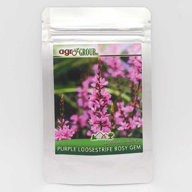 plic seminte flori purple loosestrife rosy gem