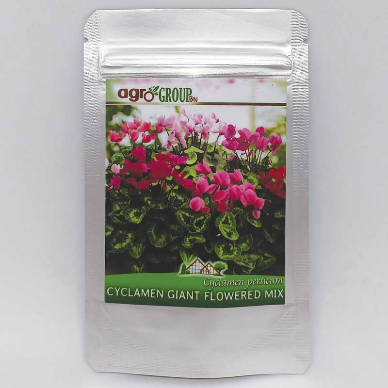 Plic seminte de flori Cyclamen Persicum Giant Flowered Mix marca Agro Group BN