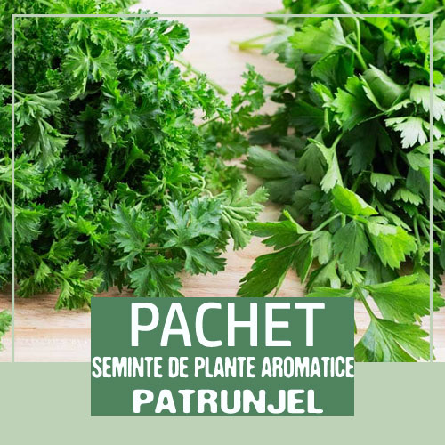 pachet seminte plante aromatice la reducere